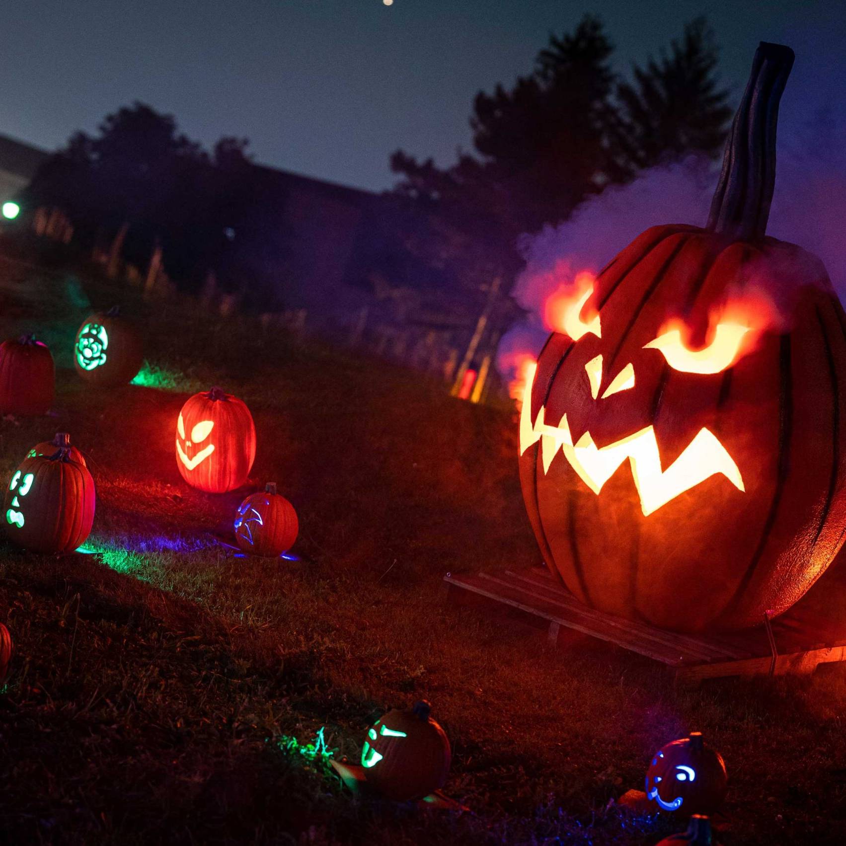 Pumpkins After Dark — London