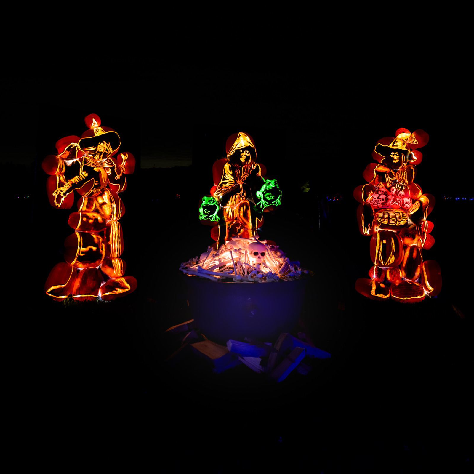Witches Cauldron Display