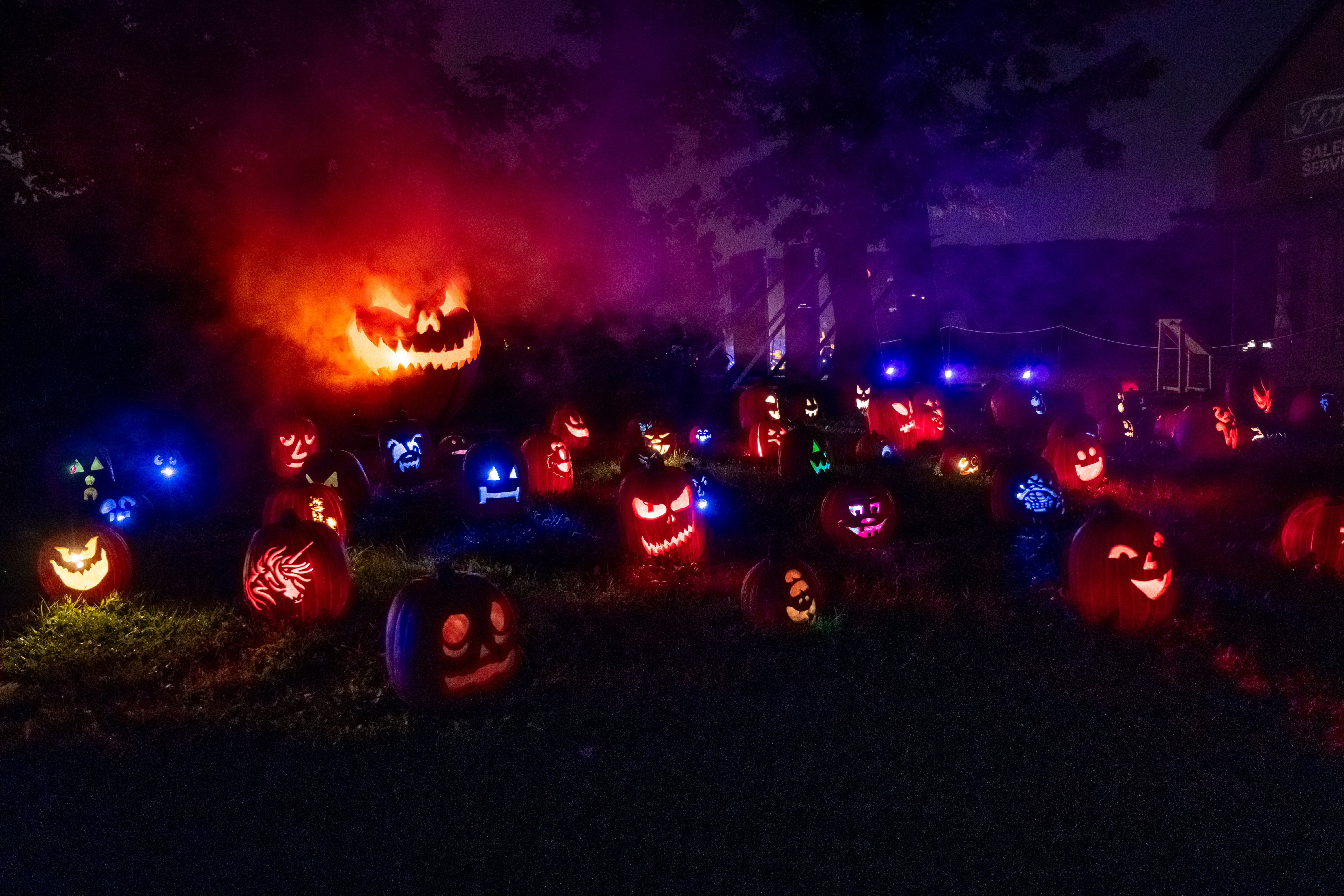 Pumpkins After Dark — Markham