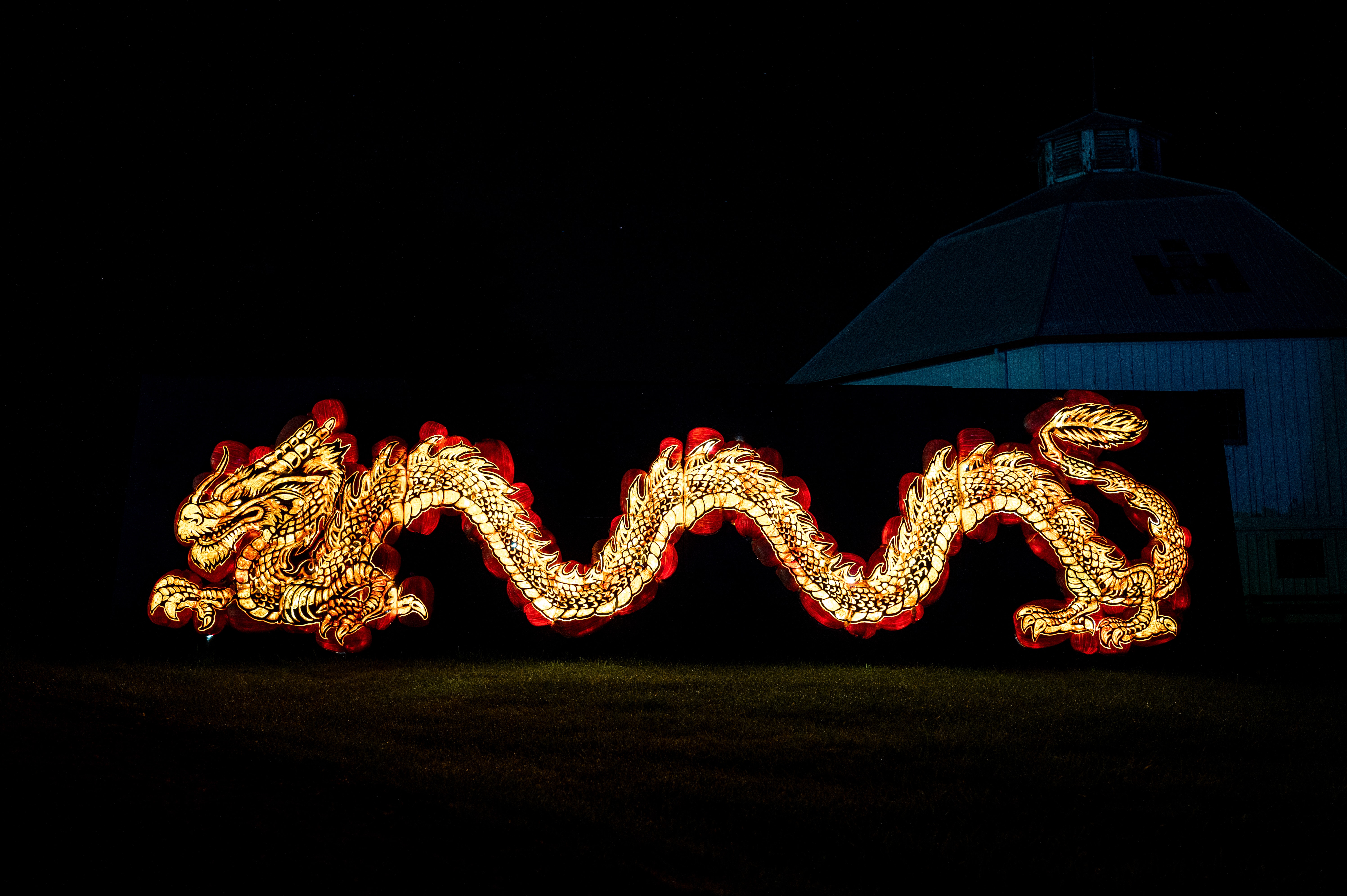 Pumpkins After Dark — Markham
