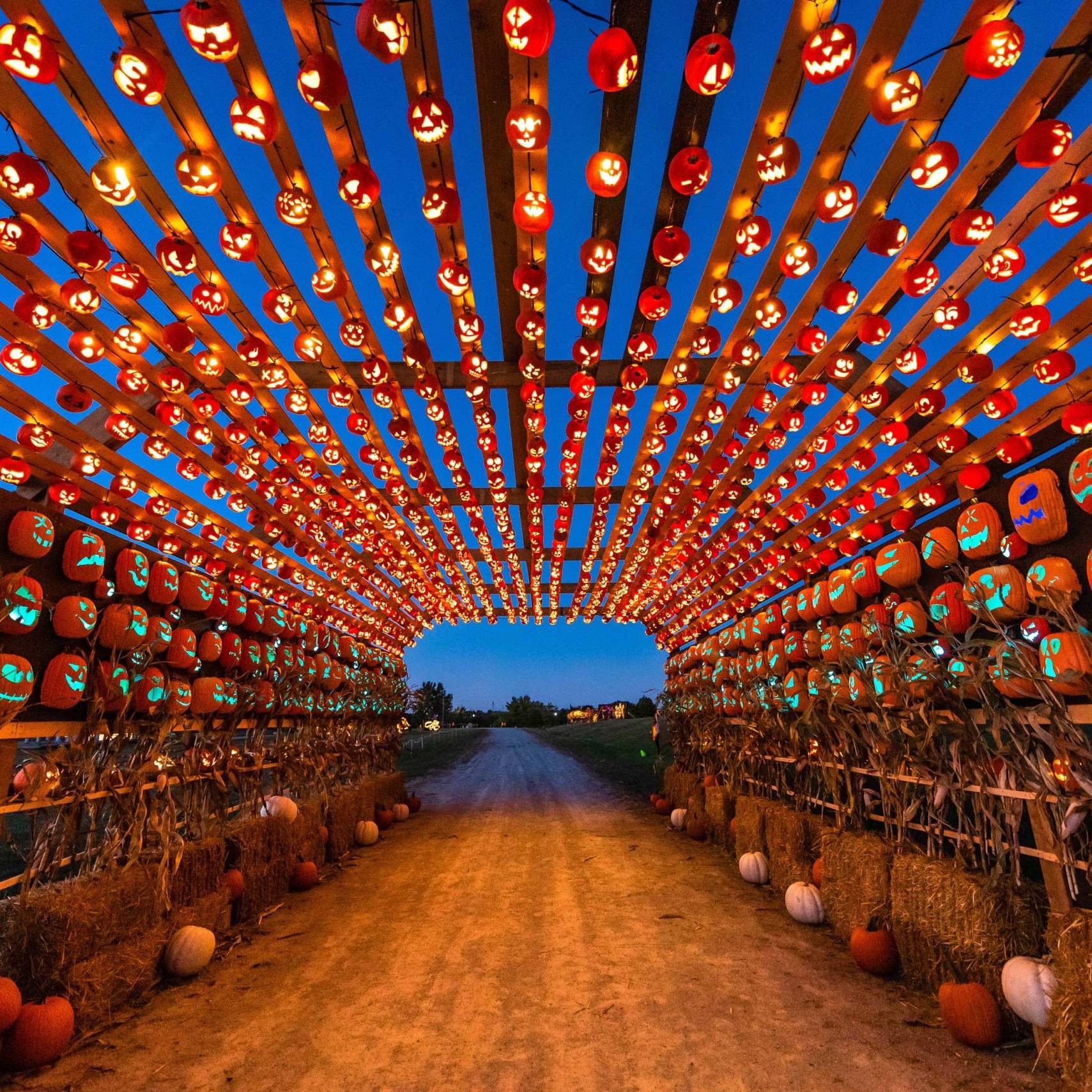 Pumpkins After Dark — Milton