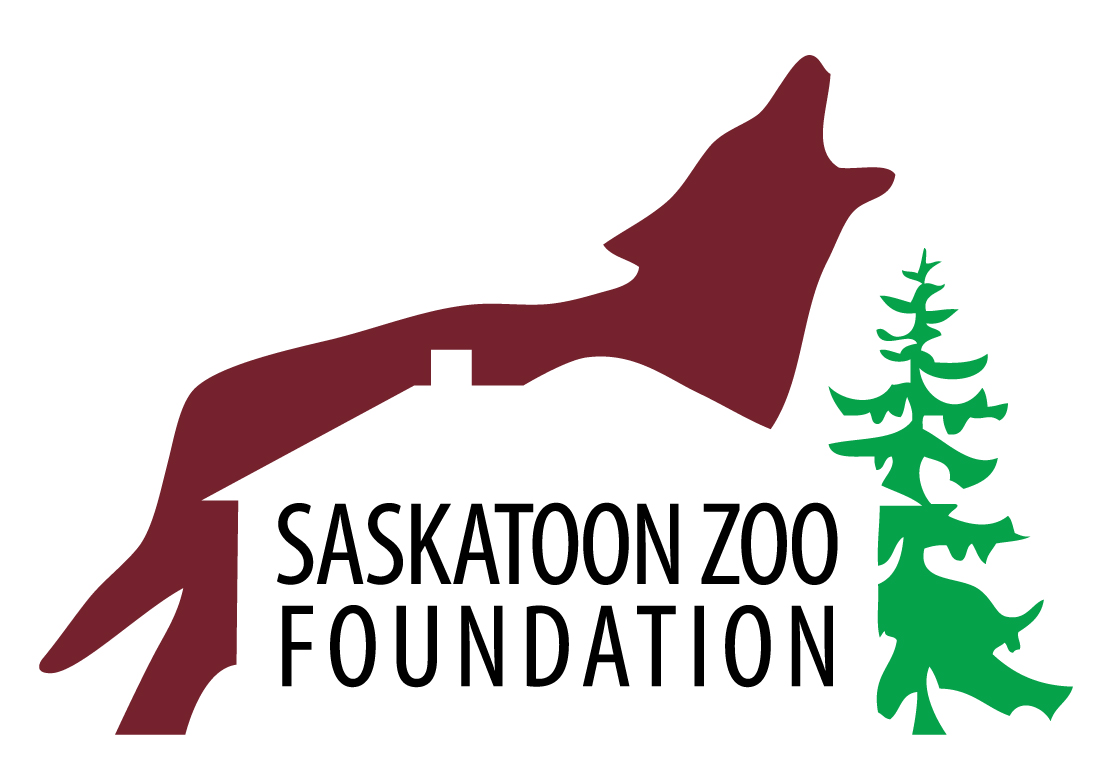 saskatoonzoofoundation.ca